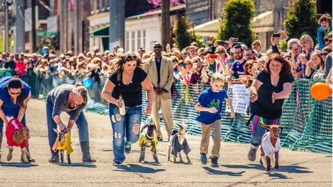 Don’t Miss the Nulu Festival Louisville: Fun for All Ages
