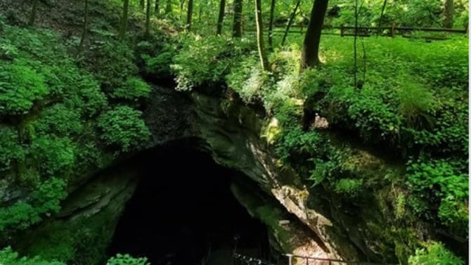 Mammoth Cave National Park: Trails and Adventure