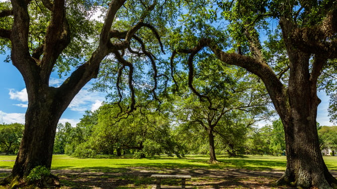 Best Lodging Near Audubon Park for Your Next Getaway